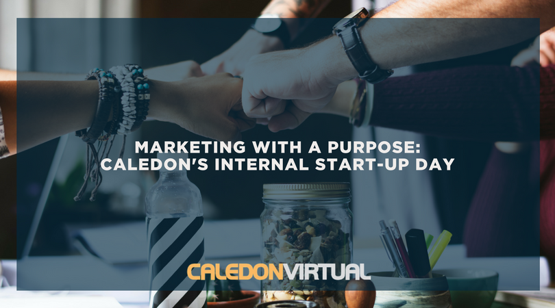 Marketing With a Purpose: Caledon's Internal Startup Day
