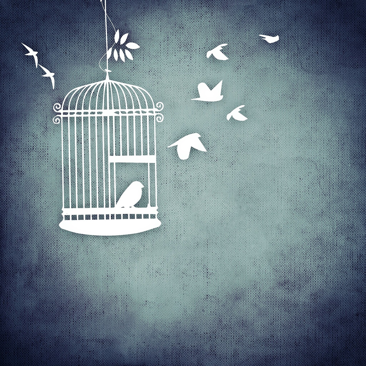 bird 730478 1280 1