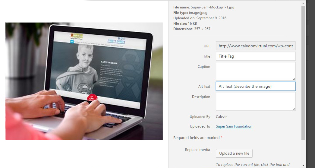 SEO image alt tag
