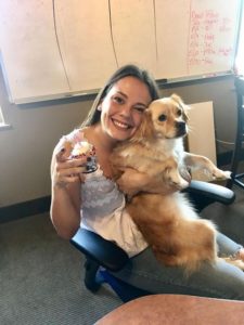 best place to work dog