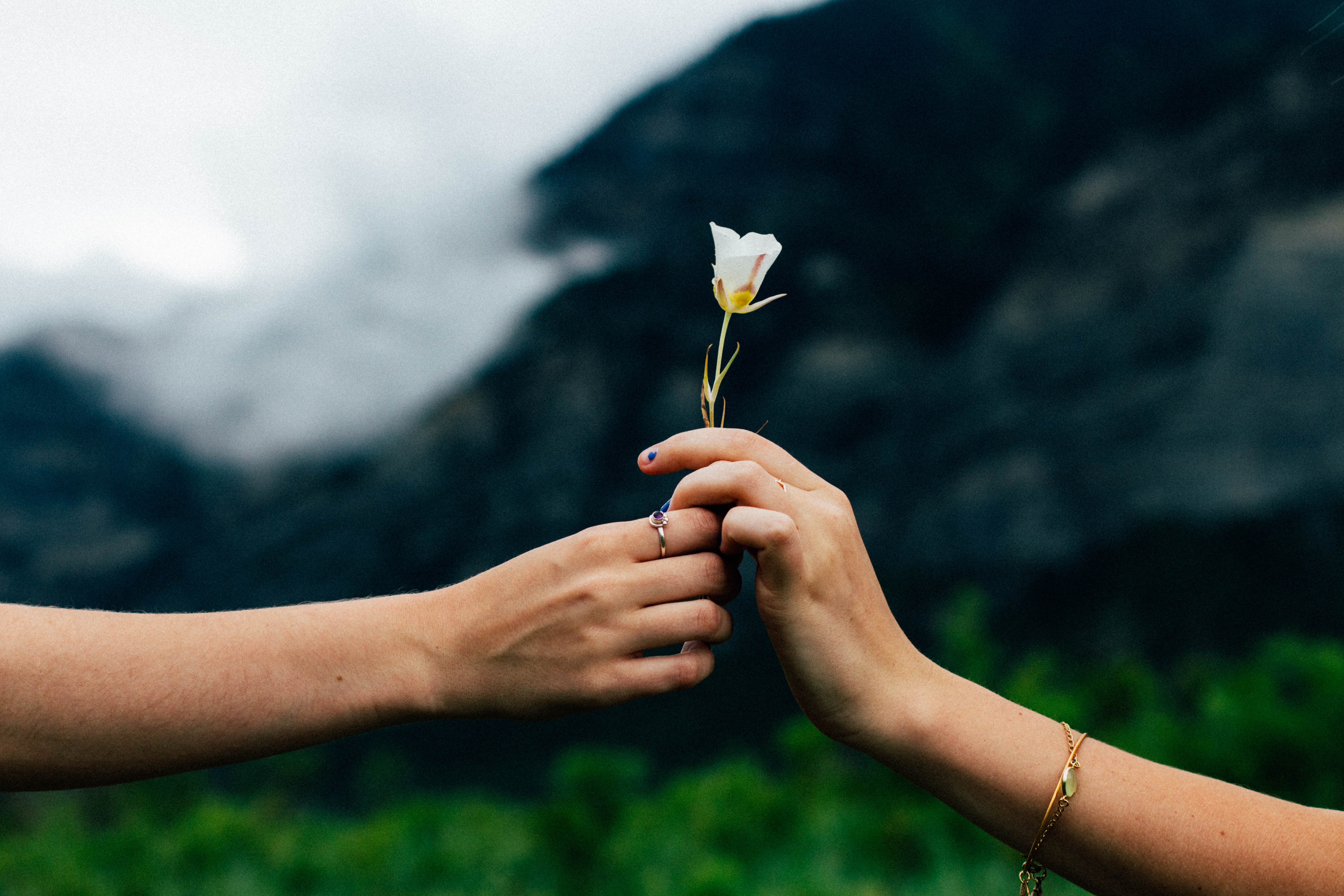 How #GivingTuesday and CSR Go Hand-In-Hand